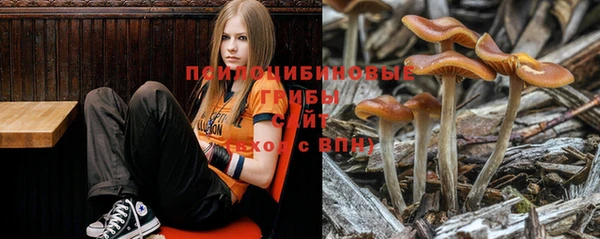мяу мяу мука Алзамай