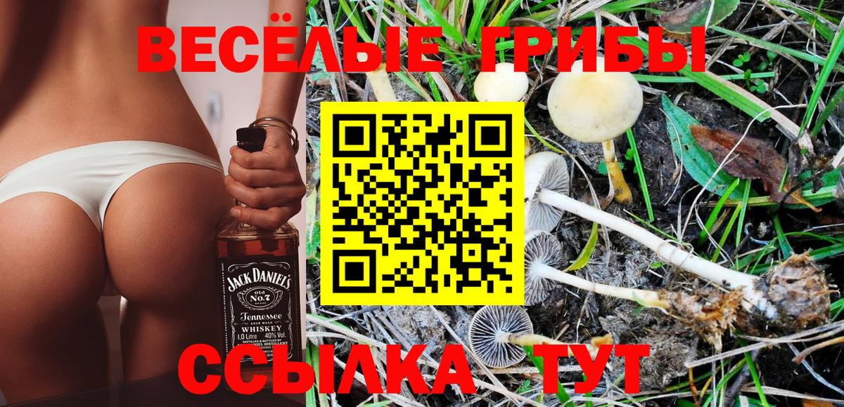 Псилоцибиновые грибы MAGIC MUSHROOMS  Галлюциногенные грибы Psilocybine cubensis  Вход с VPN  Кинель 