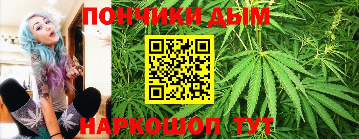 Конопля Bruce Banner Кинель